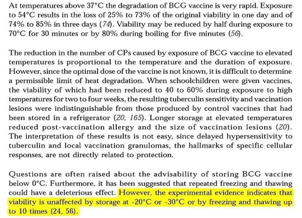 Dokumenti per BSG vaksin