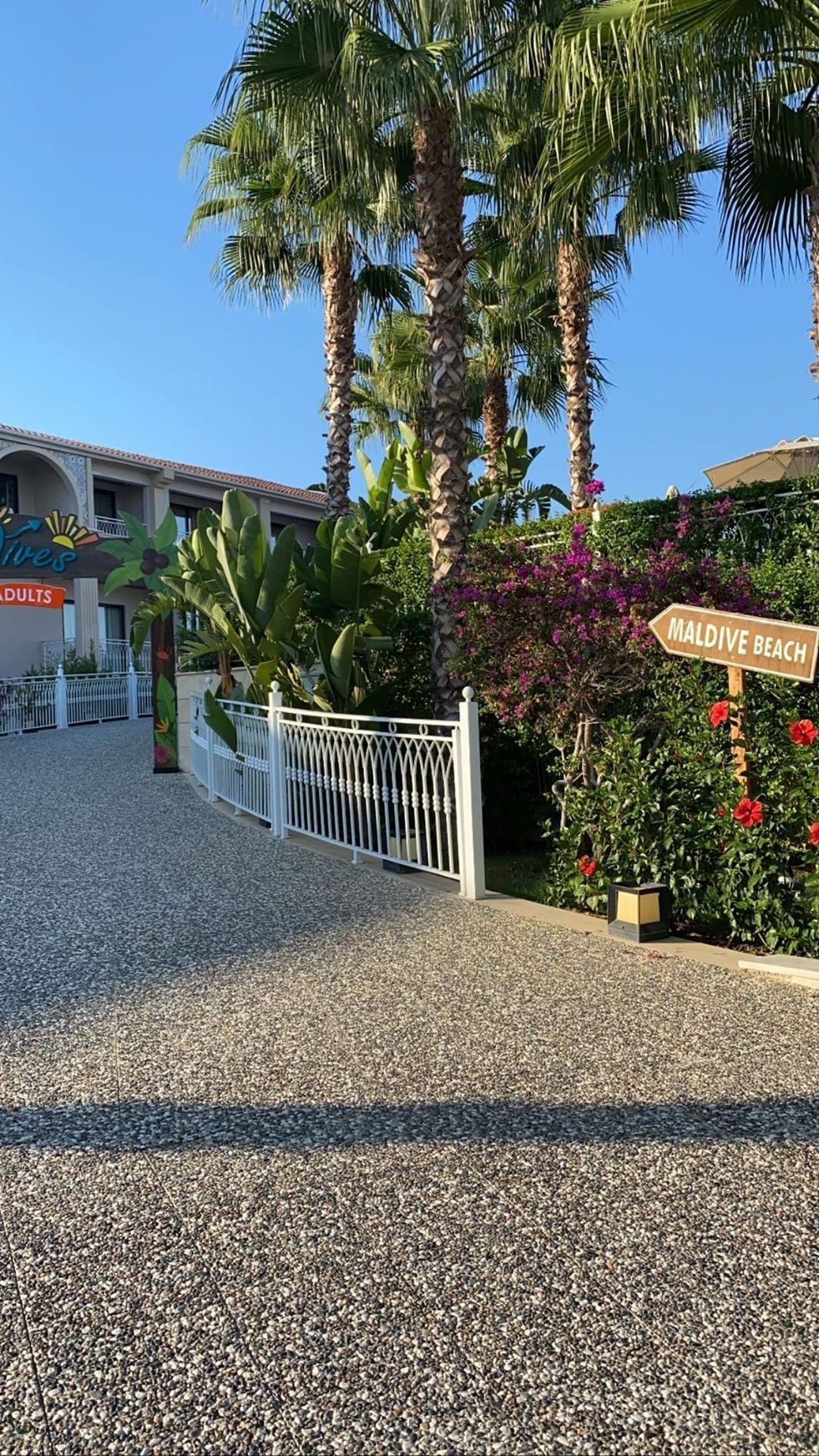 dr.ermirashkodra 118661490 2673184896291044 3961077309252185646 n