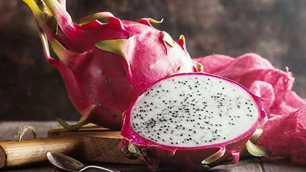 dragon fruit feature