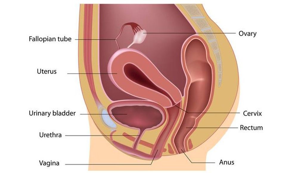 dreamstime s 28927876