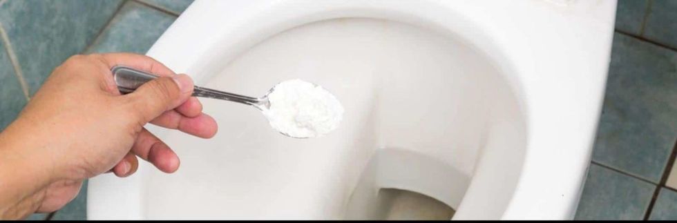 dreamstime s 49204112