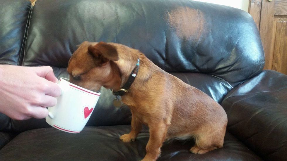 dreamstime s 65711524