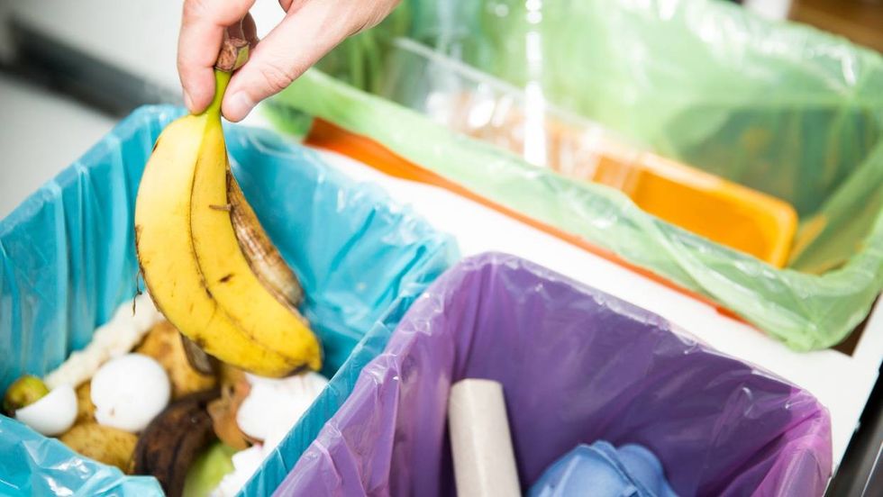 dreamstime xl 85126369