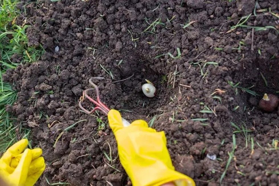 dreamstime xxl 244580233