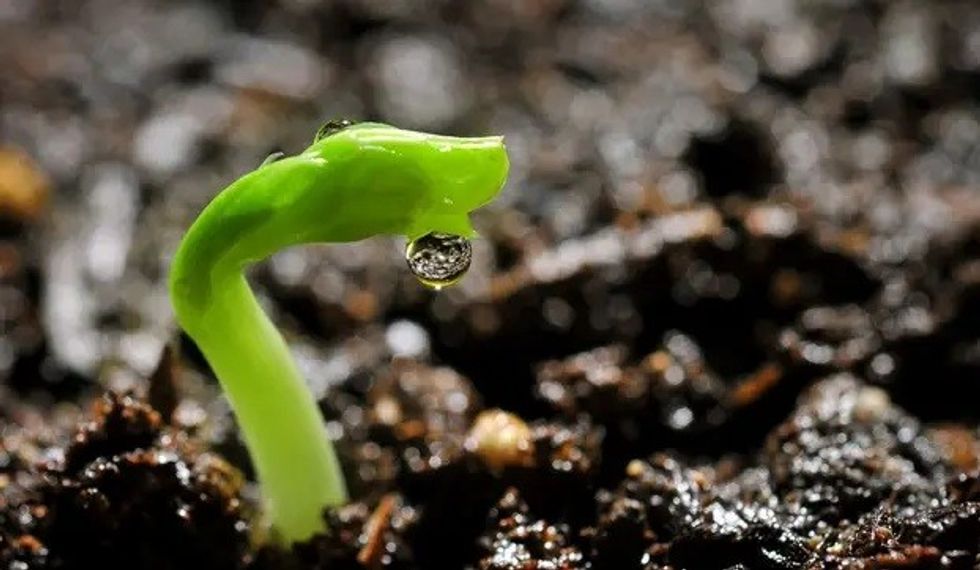 dreamstime xxl 8814387