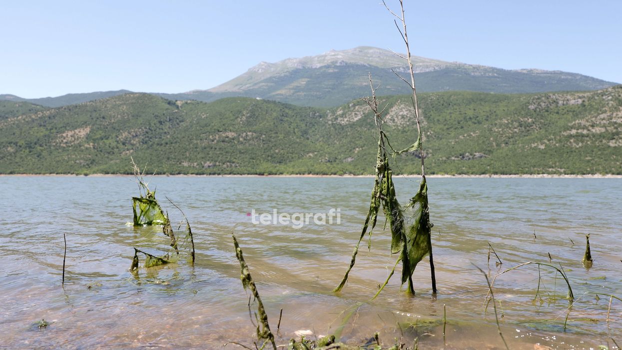 Ndryshimet klimatike dhe strukturore po godasin Drinin e Bardhë, kërkohet mbrojtje më e madhe e pellgut - 44% e popullsisë shërbehet nga lumi Ndryshimet klimatike dhe strukturore po godasin Drinin e Bardhë, kërkohet mbrojtje më e madhe e pellgut - 44% e popullsisë shërbehet nga lumi