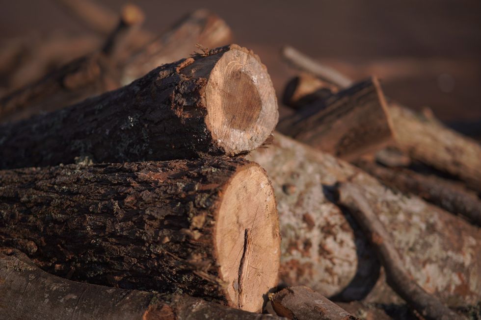 drinj per ngrohje pz