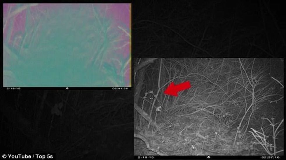 Dritat misterioze që duket sikur janë sytë e ndonjë krijese por jane tri e jo dy foto 2