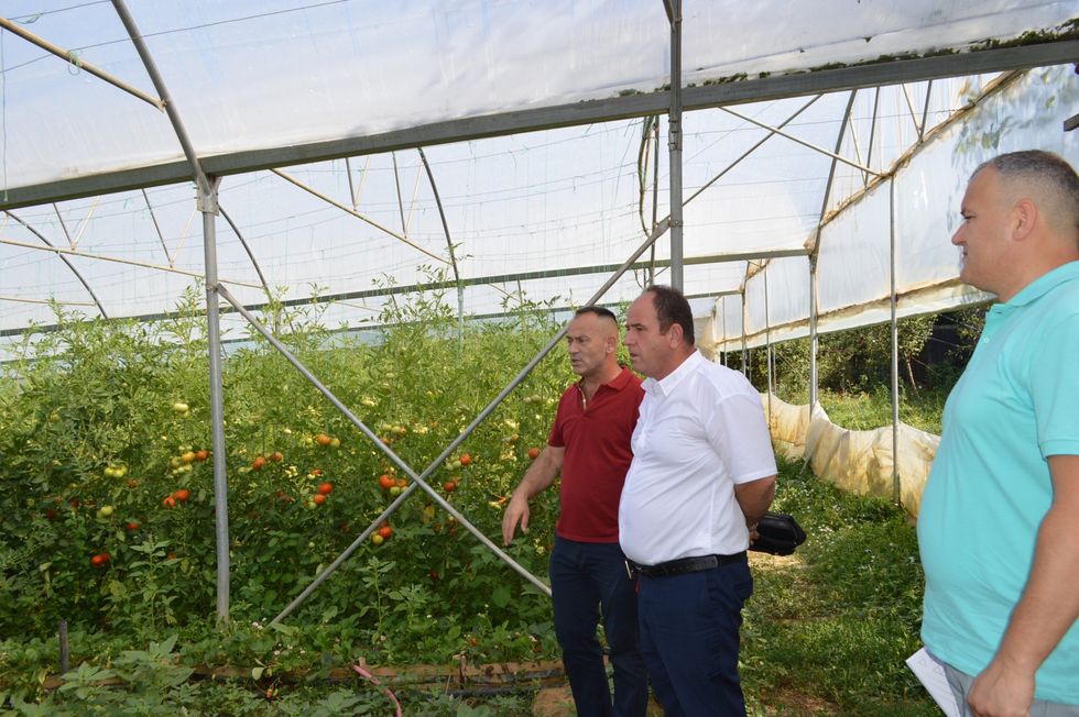 DSC 0487 Copy scaled