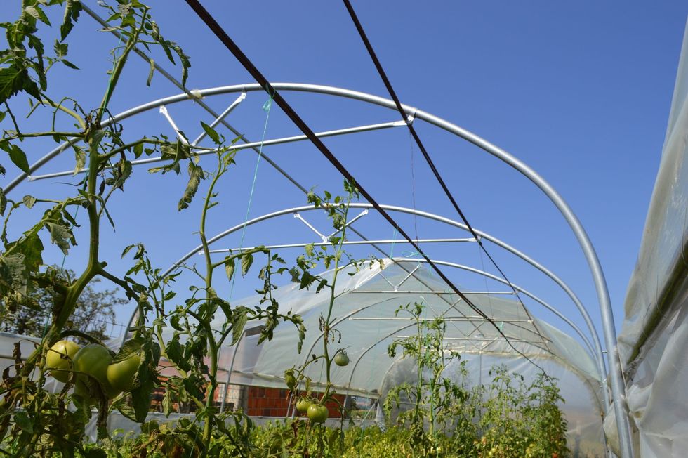 DSC 0508 Copy Copy Copy Copy scaled