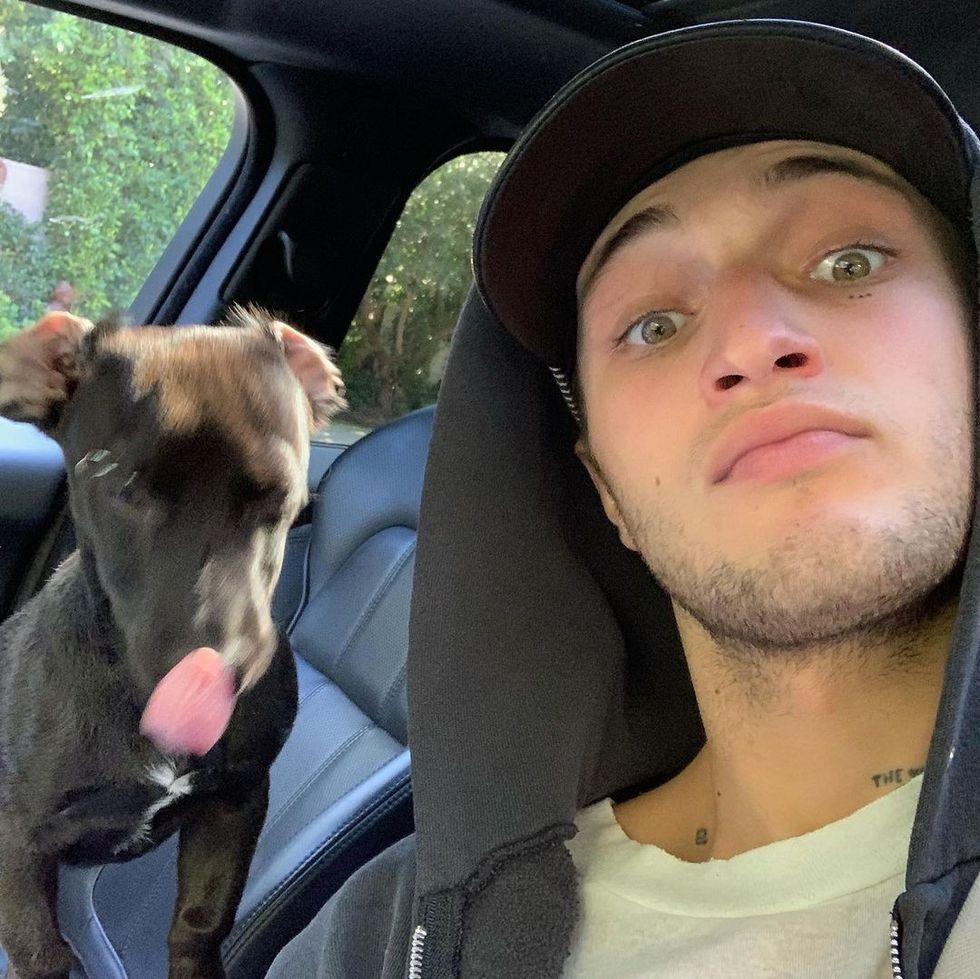 dualipa 204285391 6077576562314122 338205345225080866 n