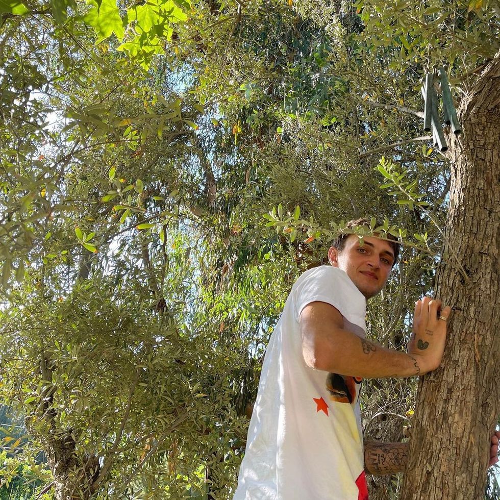 dualipa 204634446 613622456279624 2139643872845879230 n