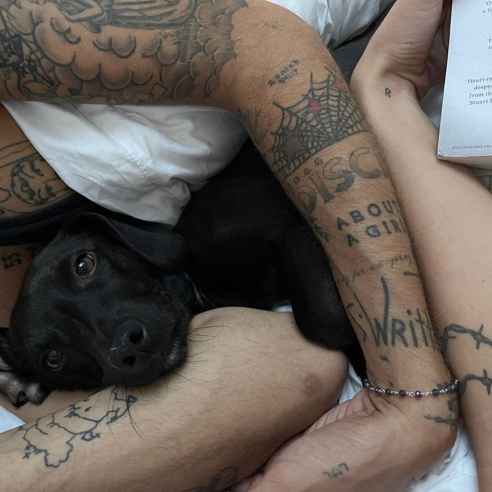 dualipa 242358521 270682904737803 5543094647448483969 n