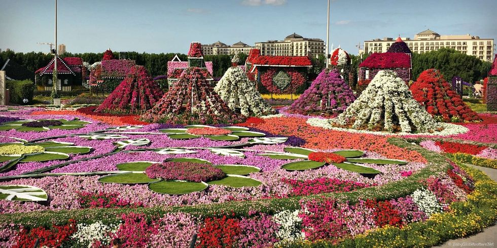Dubai Miracle Garden 3
