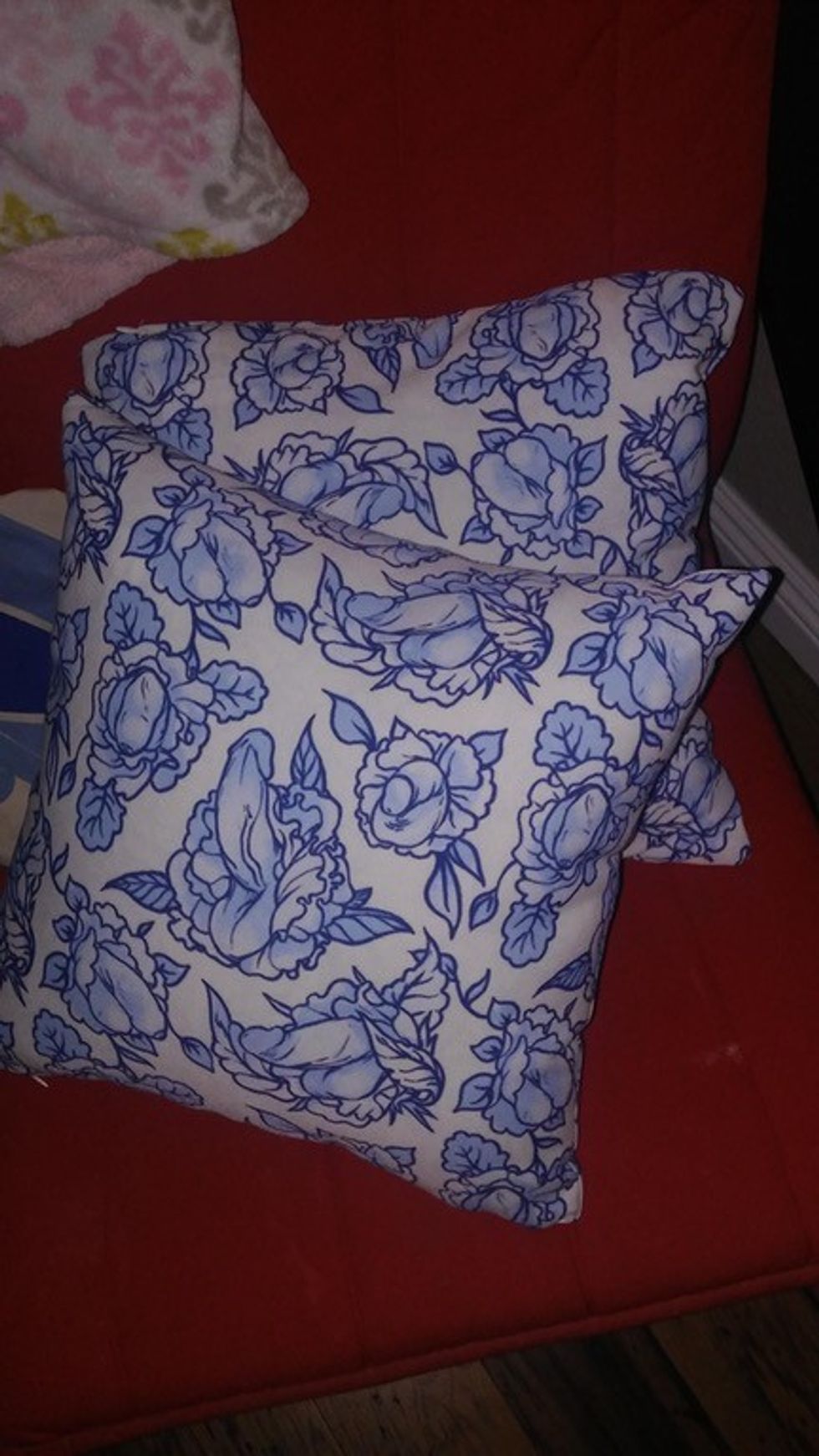 Duken si jastëk të zakonshëm por nese shikohen nga afer verehen detajet bizare foto 2