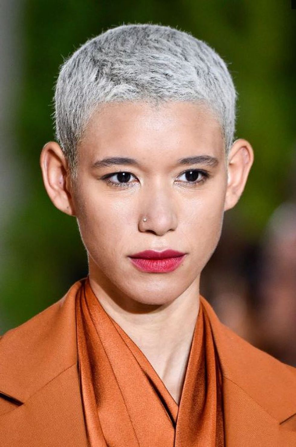 E bardha e argjendte