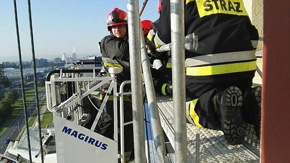 E dehura u ngjit në katin e 11 te dhe ka fjetur ne skele foto 4