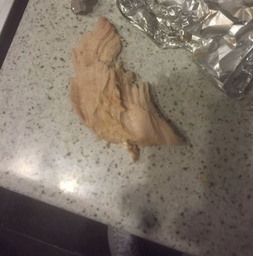 E hëngri vetëm tërë gjel detin qeni ra perkohesisht ne koma foto 3