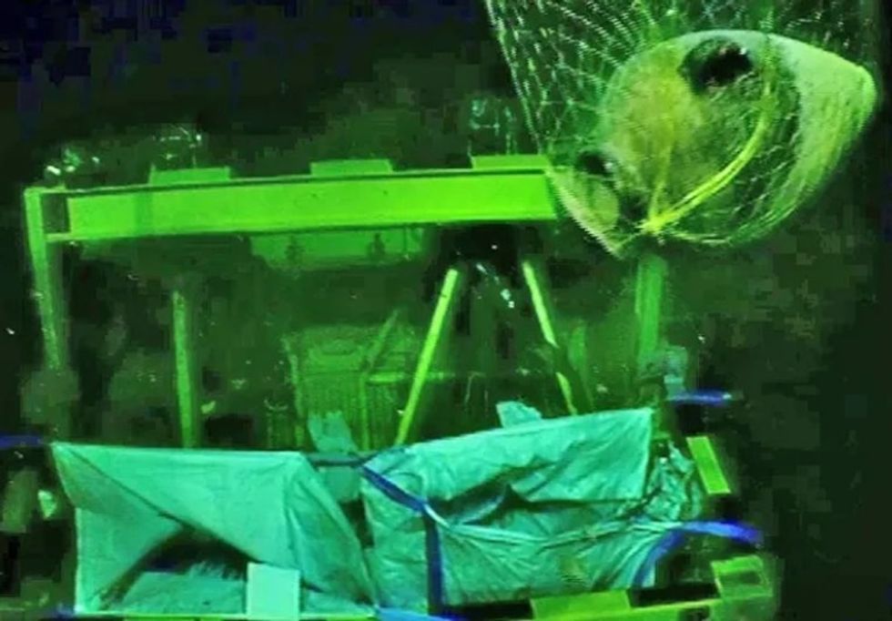 e22dec87 6ad4 4a2f acac 1438baf3384c