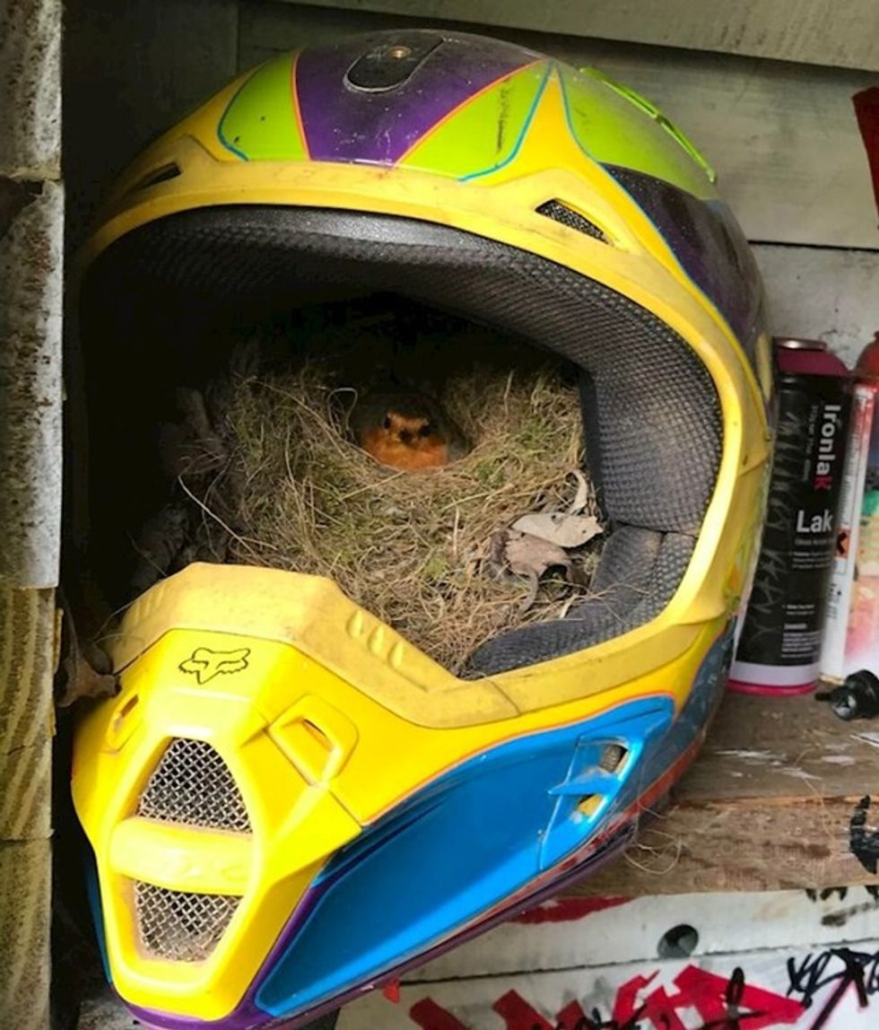 e55b7082 55cb 4057 87fa 5b5c93ad784a