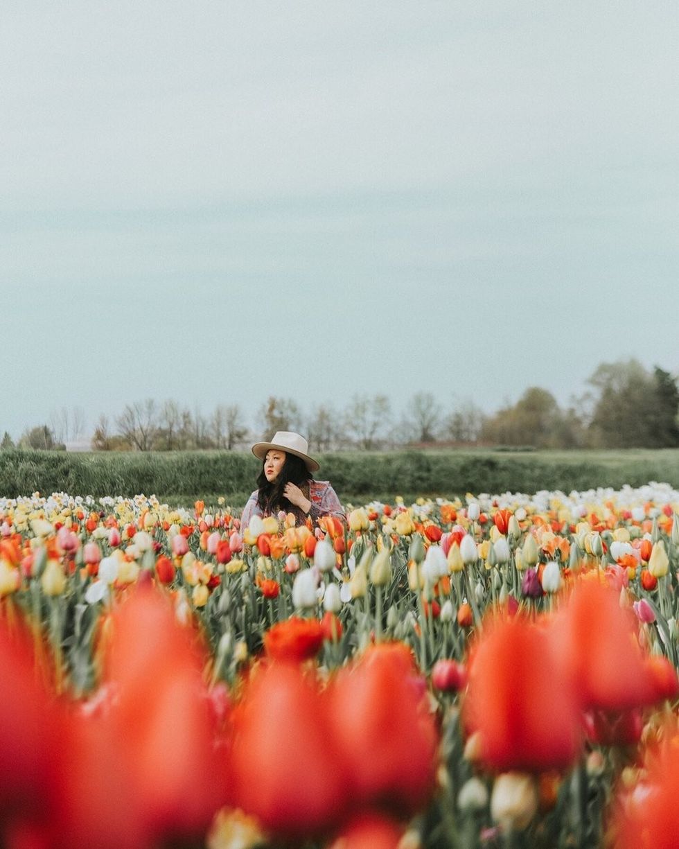 E6F257D6 FA8F 4691 91A3 7D7CE121ECEB