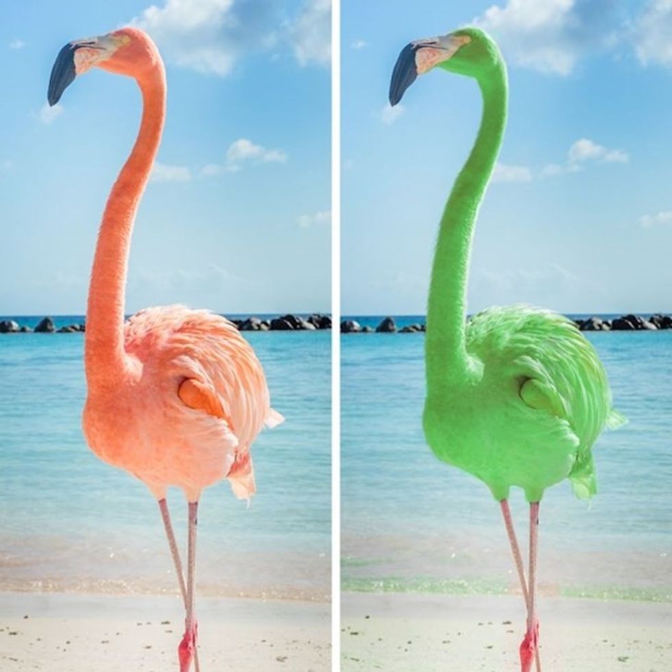 e763634b a57c 4641 80b1 bfea20bf5608