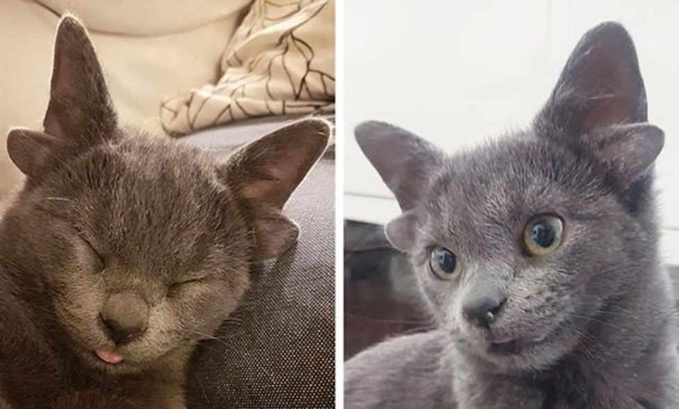 e8a3706b 2474 4689 8b5f a53e4c2f4e52