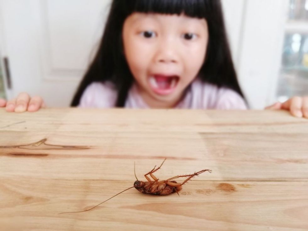 ebc73370 7fb9 11eb baff 6ef02a0c8d96