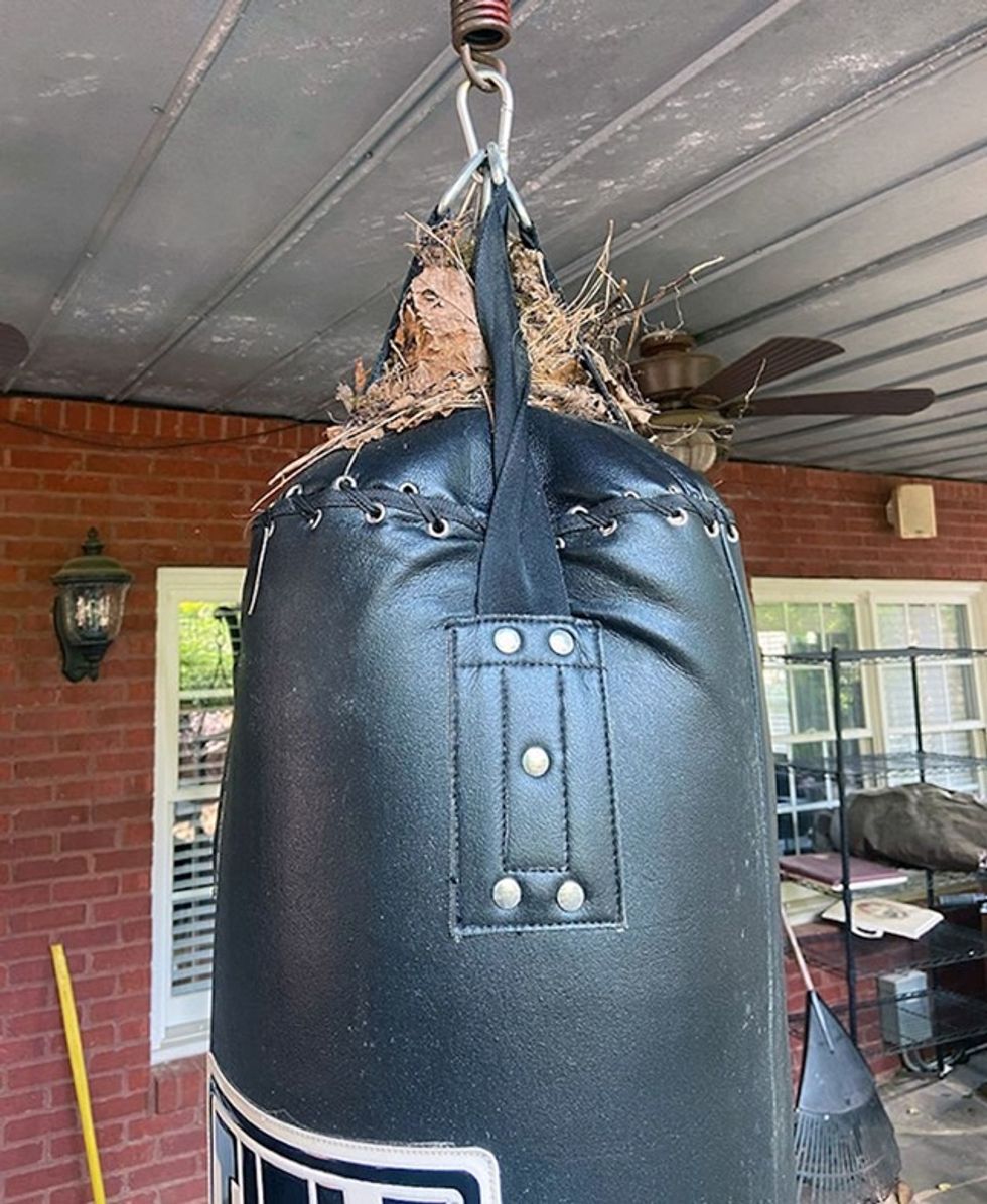 ec644fae b9c9 4b3b 9154 1e827fbbe227