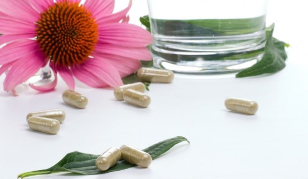 echinacea 2