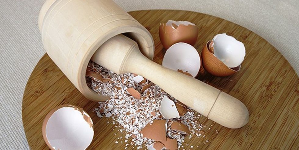 eggshell calcium powder