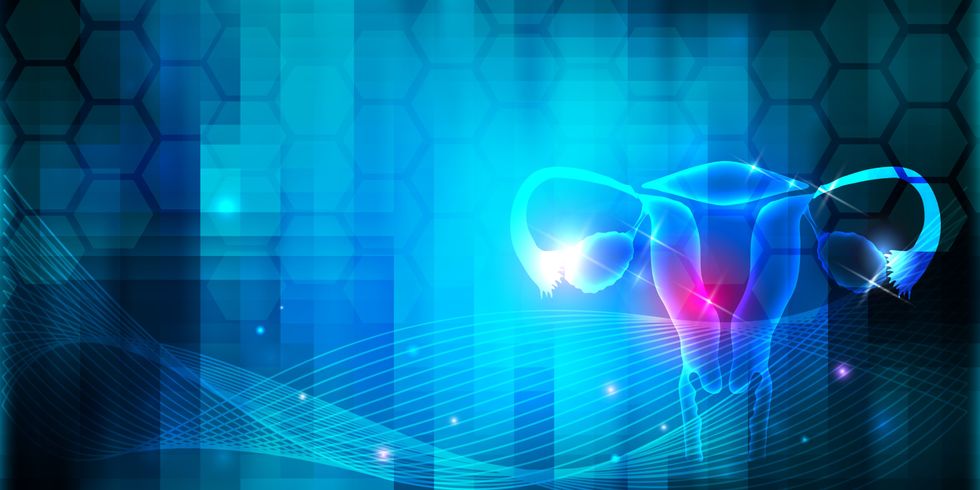 Eierbrüten 1. Zyklushälfte 1