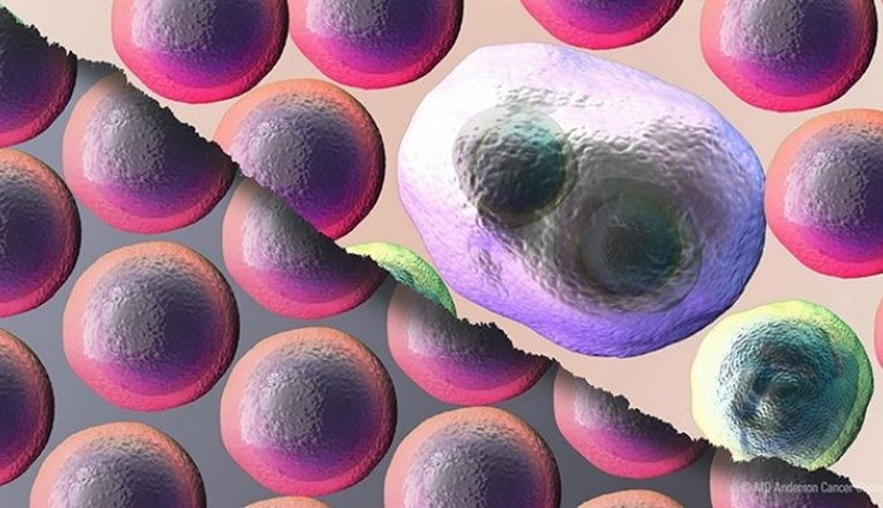 El Mito de los Moai que miraban al Mar 1