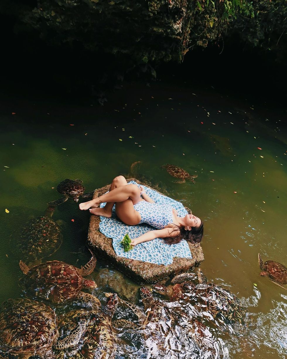 elita.rudi 1720366693 3407005217057766878 1671038464