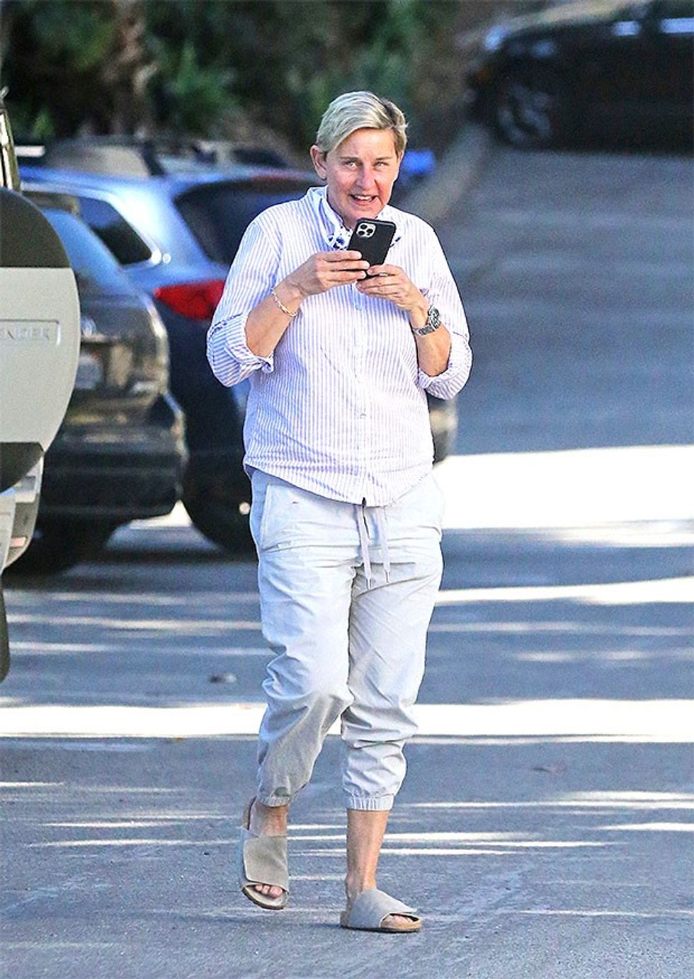 Ellen DeGeneres backgrid embed