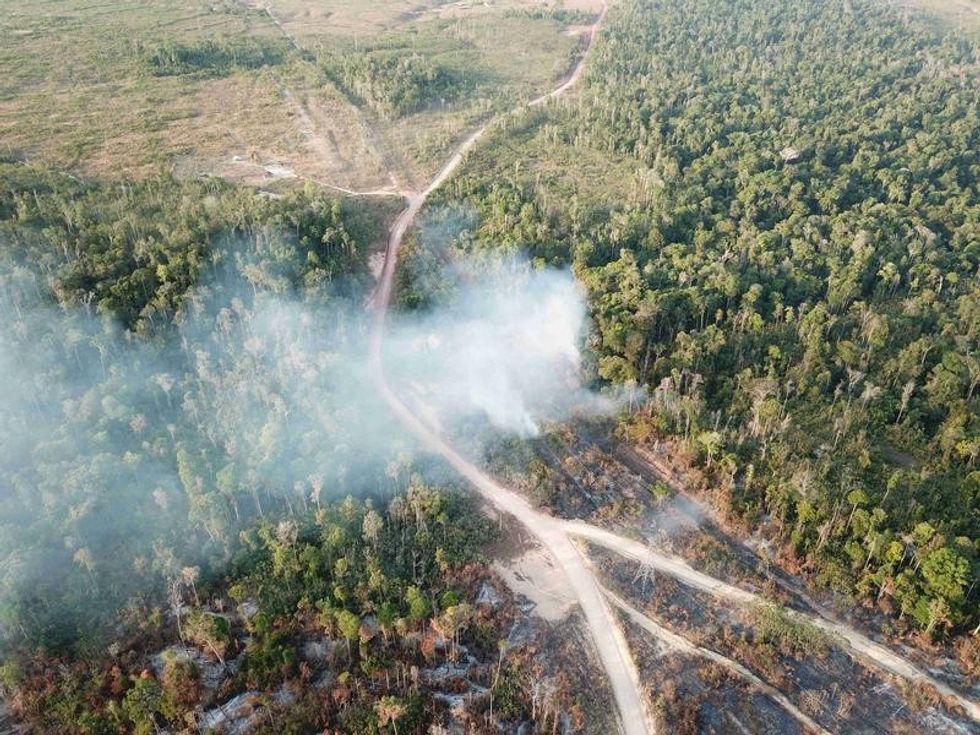 emergence de maladies zoonotiques et deforestation un cercle vicieux renforce