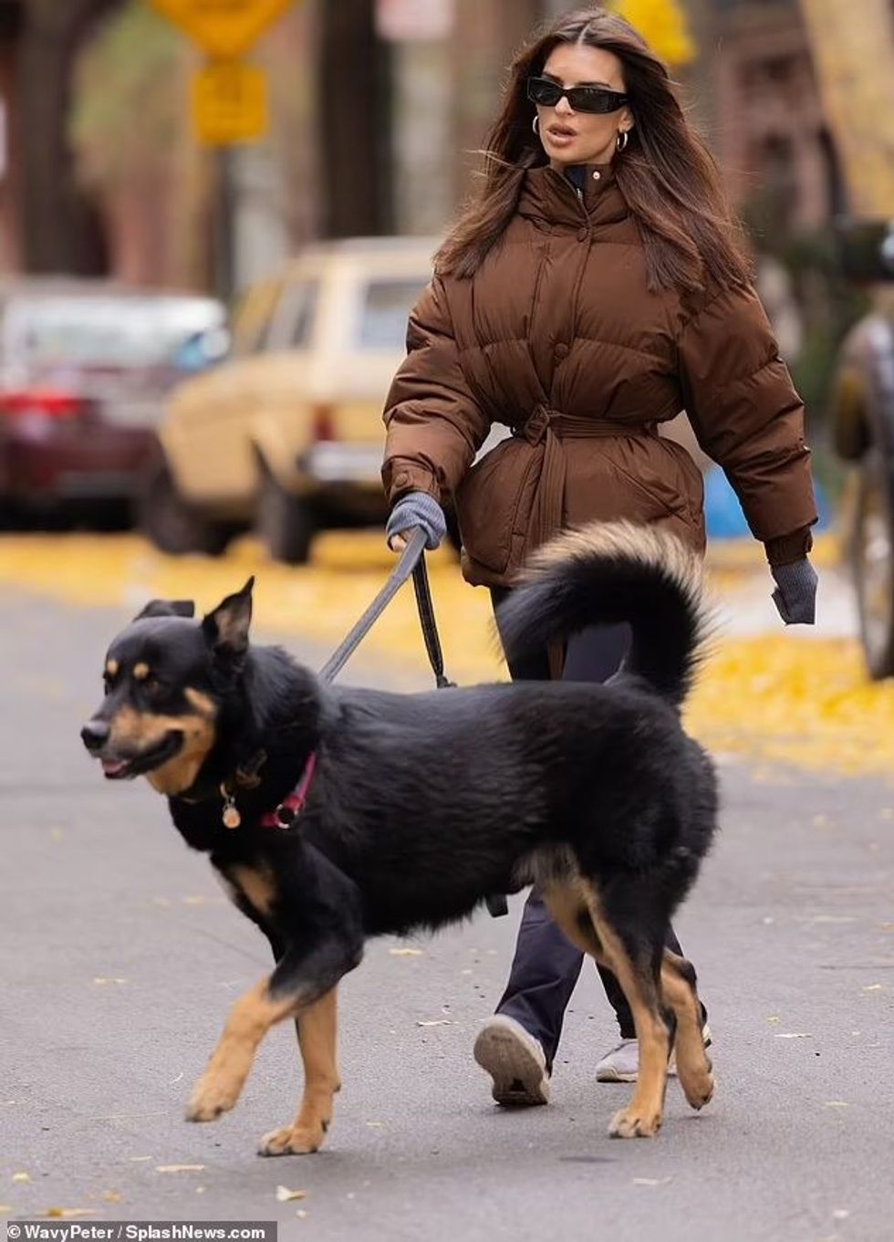 emi 1 e1700678891933