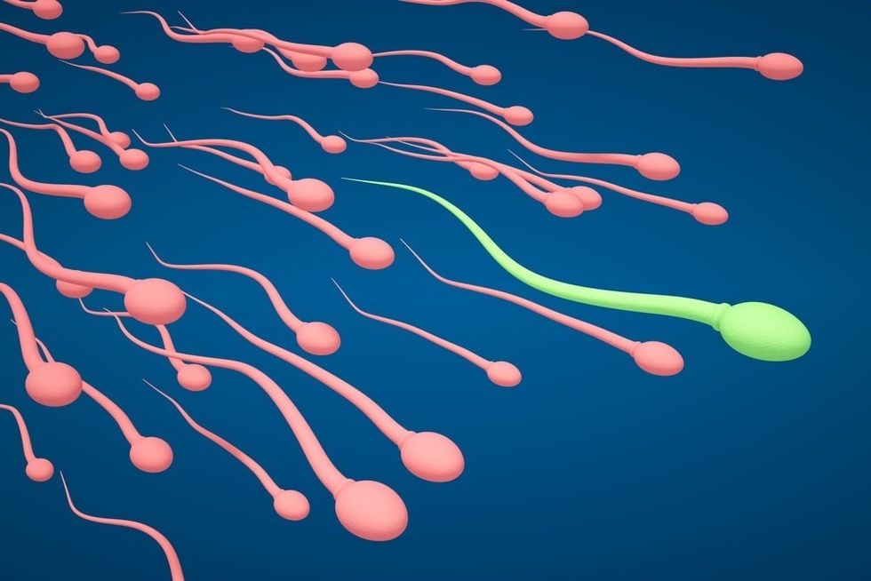 enmale fertility testingesprueba de fertilidad masculinazh男性生育检查