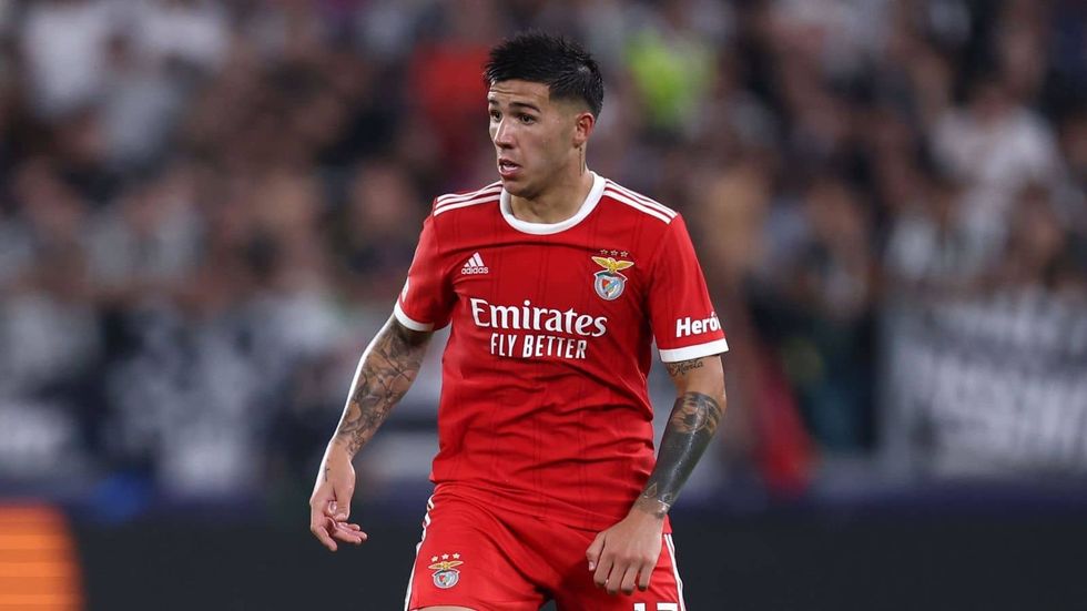 enzo fernandez benfica 1