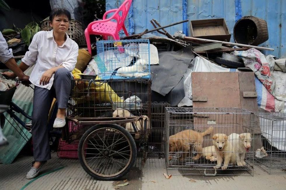 epa05378667 A vendor waits for buyers beside dogs for sale at a market in Yulin city, southern China's Guangxi province, 20 June 2016. Yulin dog meat festival will fall on 21 June 2016, the day of summer solstice, a day that many local people celebrate by eating dog meat, causing escalating conflicts between activists and dog vendors. EPA/WU HONG