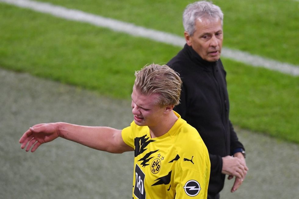erling haaland bvb favre