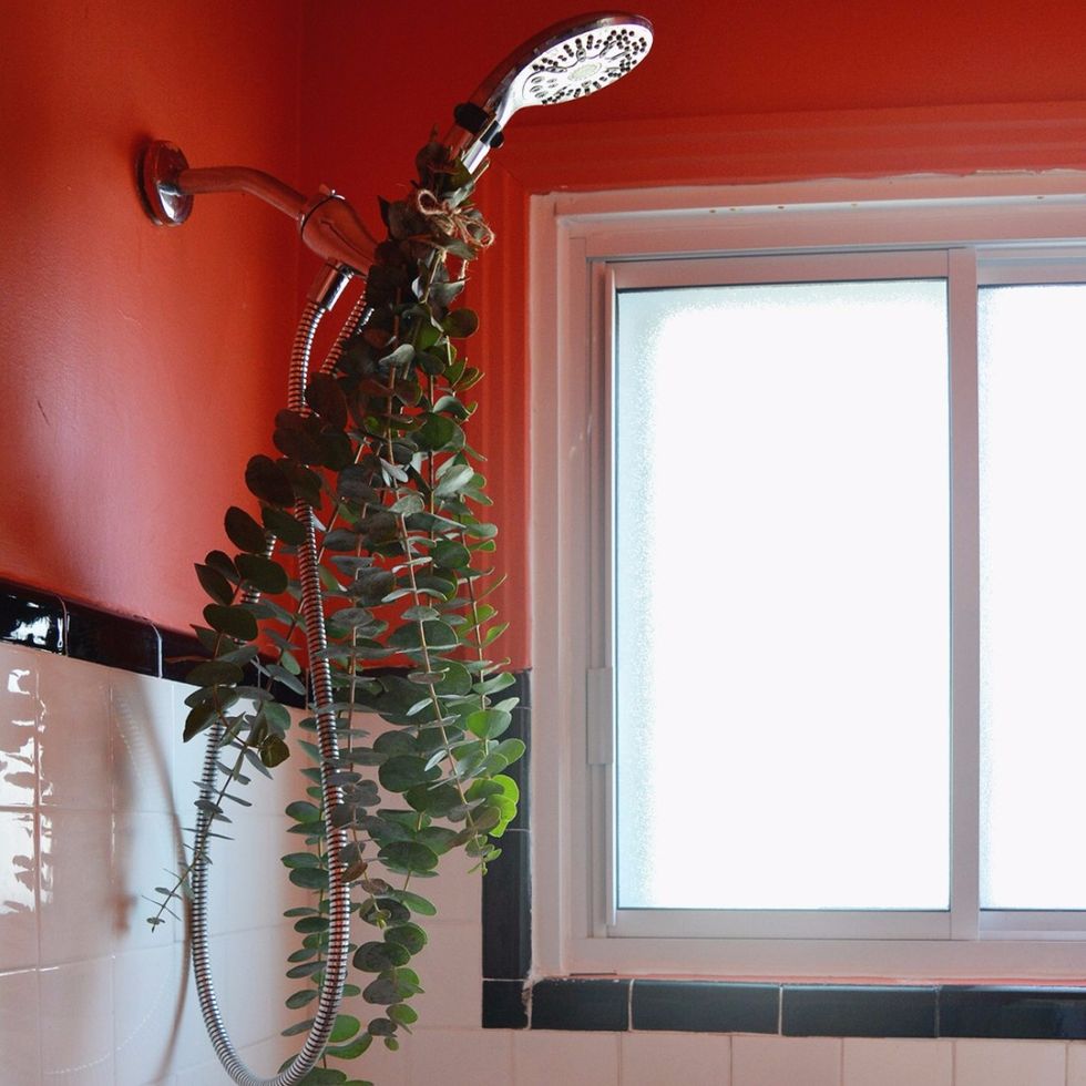 eucalyptus shower e1518043514115