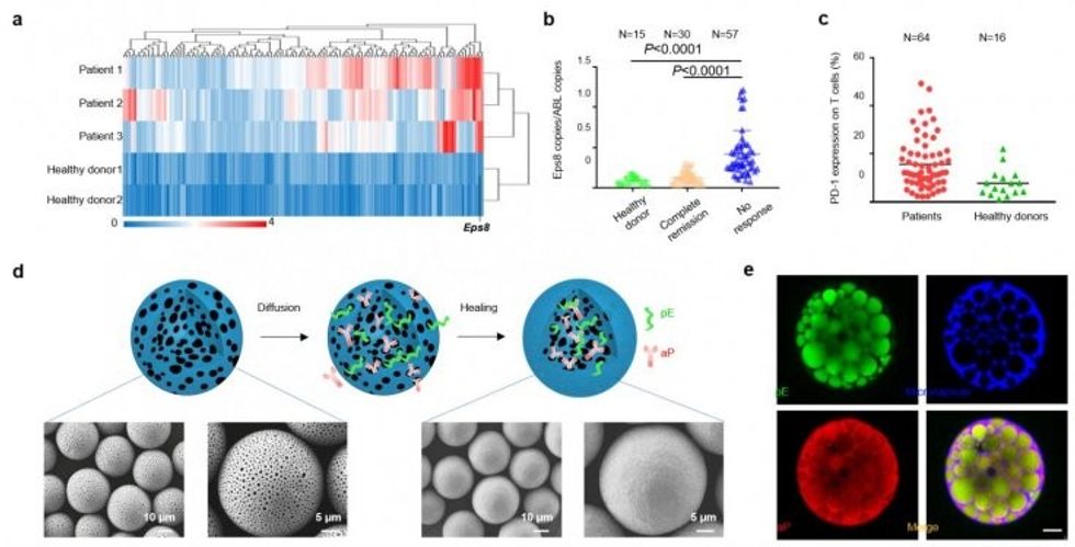 expression of cancer genes