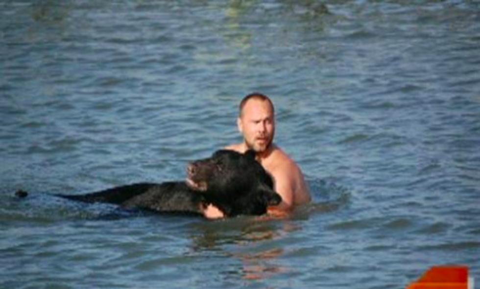 extremely brave man saves 400 lb black bear from drowning 1