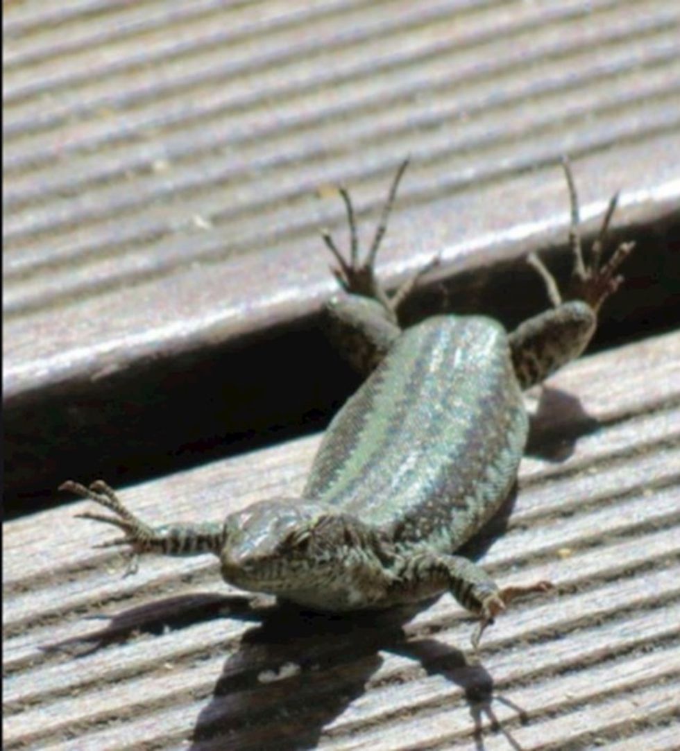 f613066f 8f99 4ef9 9a58 1d898eb4a6ff