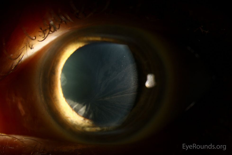 f6c7ebbb 1840 4462 bb16 8138cda74b88