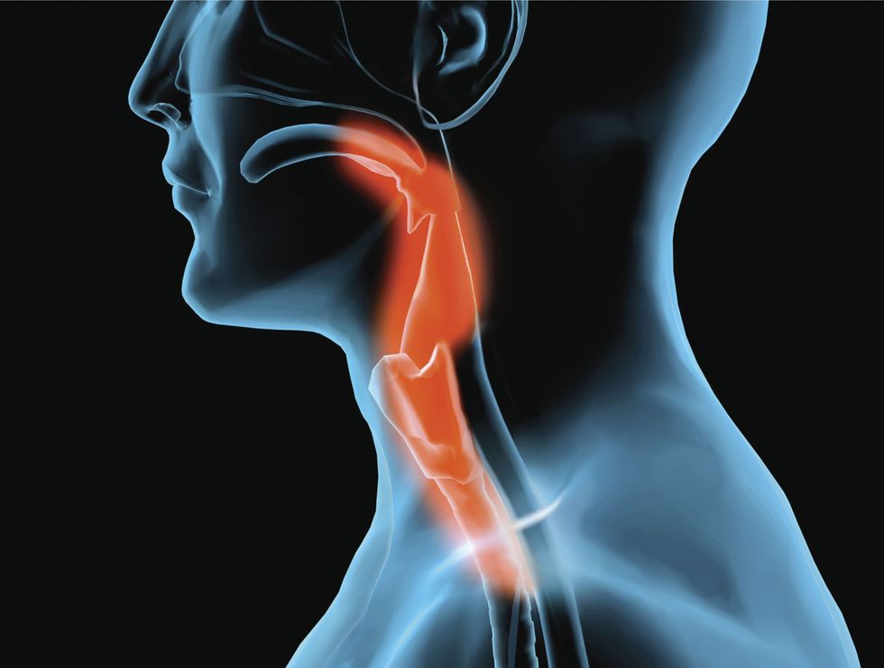 fa3dc1506f4fe8cca01f34914a66c302