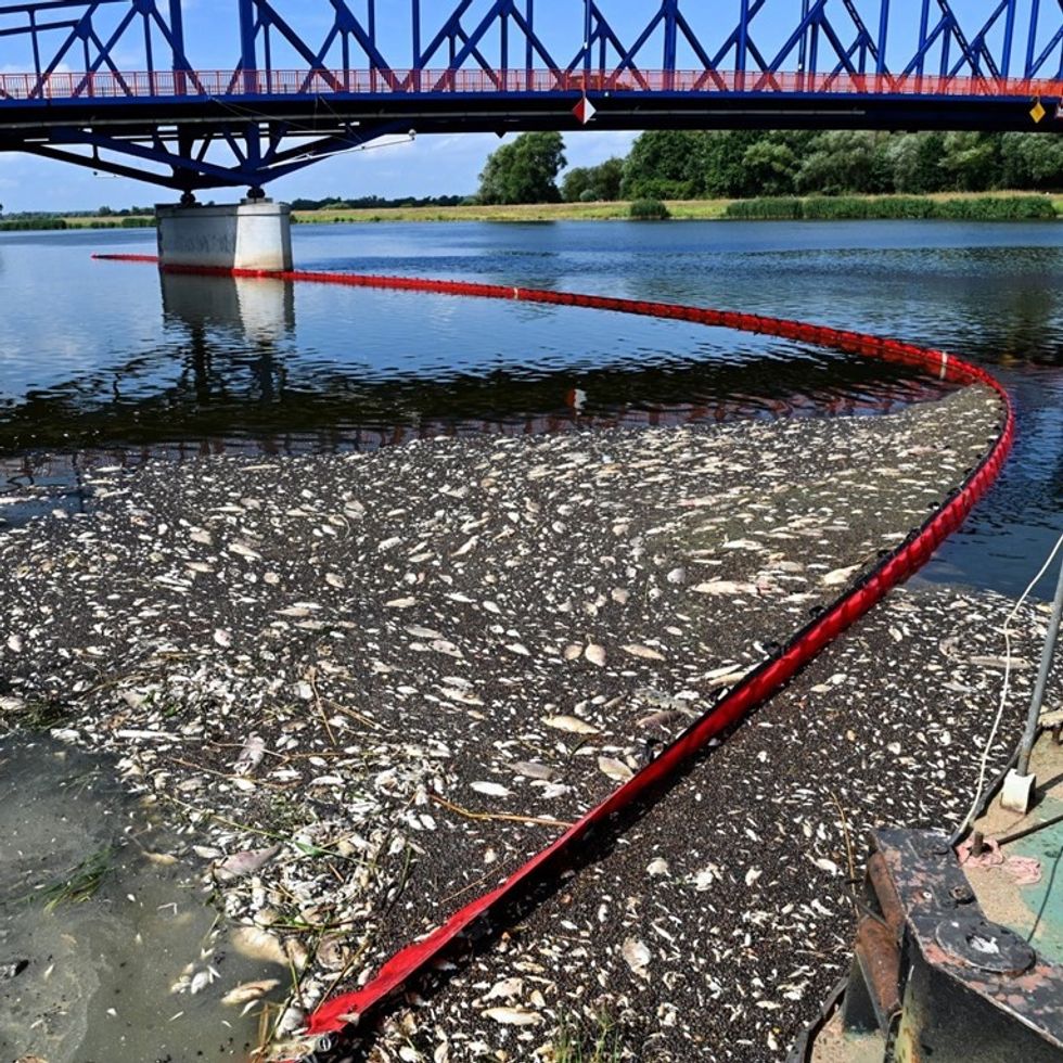 fa3deaa9 f6e3 4bb6 bc88 ec8cab133630