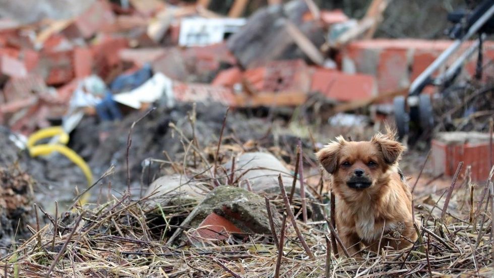 fa3fde03 adbe 4eba 8046 f829cc709d61