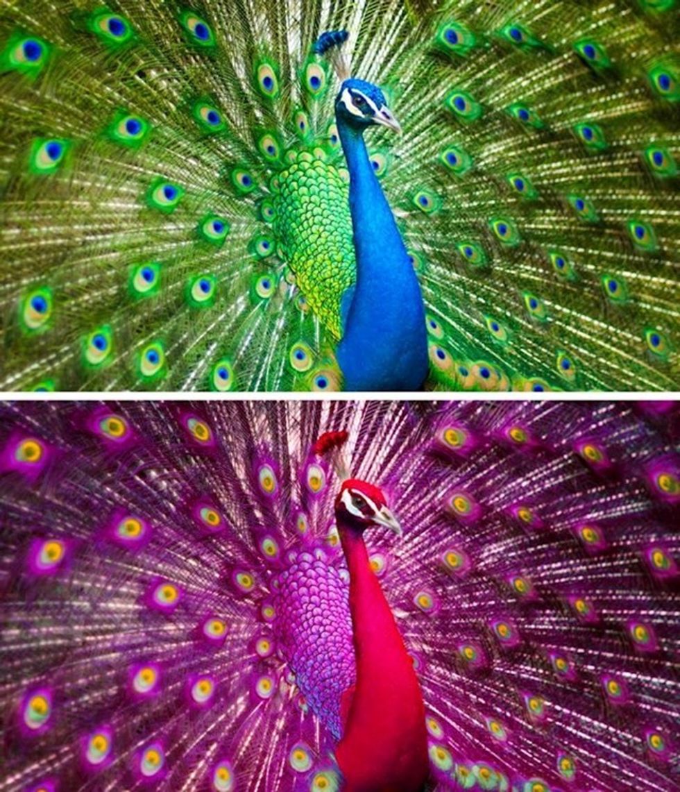 fa6b8715 4b95 46e4 9dd4 8e7af1a8e78b